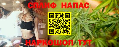 альфа пвп Брянск