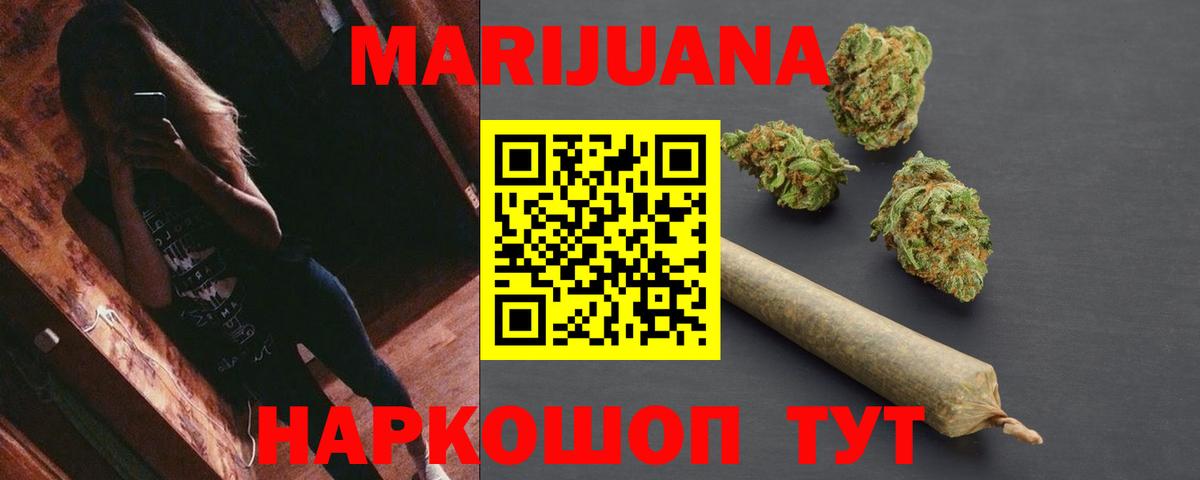 Конопля гибрид Богданович